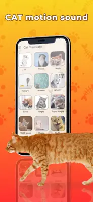 Cat Translator Simulator App android App screenshot 2